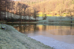 IMG-20250112-WA0002