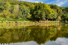 WhatsApp-Bild-2025-10-05-um-16.20.05_3eda8662