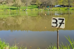 Gästeangeln des ASV Breuberg am Karfreitag 2019