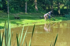 Rasen-mähen-am-Sandbacher-See-im-Juli-2020-1