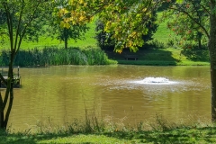 Rasen-mähen-am-Sandbacher-See-im-Juli-2020-10