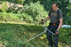 Rasen-mähen-am-Sandbacher-See-im-Juli-2020-8