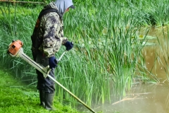 Rasen-mähen-am-Sandbacher-See-im-Juni-2020-1