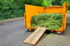 Rasen-mähen-am-Sandbacher-See-im-Juni-2020-7