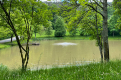 Pumpe-setzen-und-Rasen-maehen-Juni-2021-13