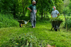 Pumpe-setzen-und-Rasen-maehen-Juni-2021-8