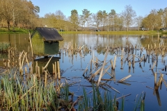 Sandbacher See im Frühjahr