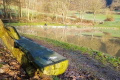 Sandbacher See im Herbst
