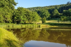 Sandbacher See im Sommer