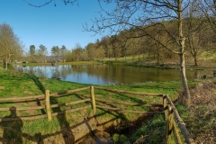 Sandbacher See im Spätsommer